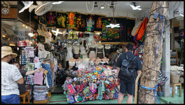 DSC09537.jpg