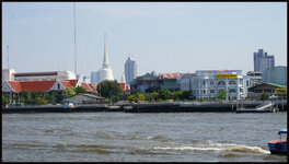 DSC09557.jpg
