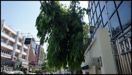 DSC09574.jpg