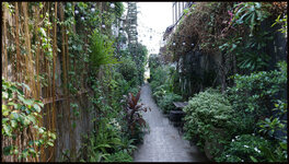DSC09575.jpg
