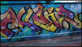 DSC09583.jpg