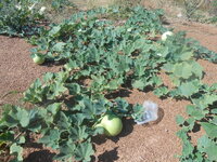 DSCN0308.JPG