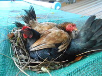DSCN9821.JPG