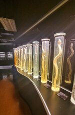 20230715_104507.jpg