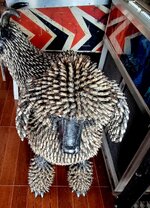 20230718_094650.jpg