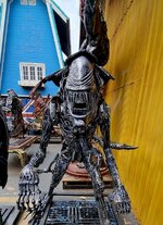 20230718_095234.jpg