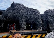 20230718_095543.jpg