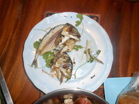 DSCN0576.JPG