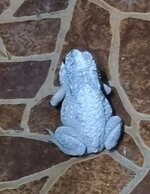 20230722_201023.jpg