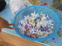 DSCN1309.JPG