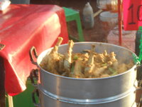 DSCN1323.JPG
