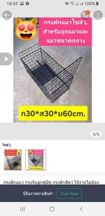 1690630579324.jpg