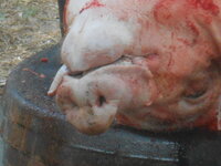 DSCN1749.JPG