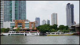 DSC00213.jpg