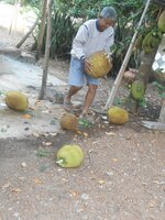 IMG_20220122_155805.jpg