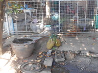 DSCN1471.JPG