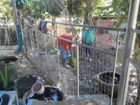 DSCN1457.JPG