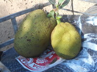 DSCN1460.JPG