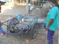 DSCN1480.JPG