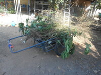 DSCN1472.JPG