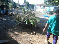 DSCN1474.JPG