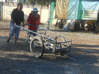 DSCN1478.JPG