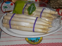 DSCN0371.JPG