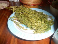 DSCN3138.JPG