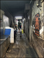 DSC00398-02.jpg