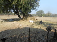 DSCN3164.JPG