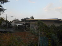DSCN0782.JPG