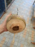 IMG_20220118_194730.jpg