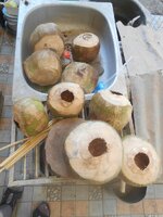 IMG_20220122_155620.jpg