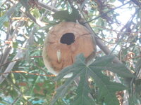 DSCN2573.JPG