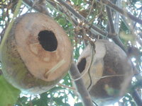 DSCN2574.JPG