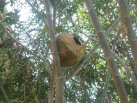 DSCN2571.JPG