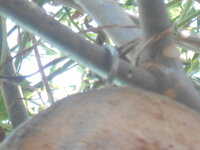 DSCN2575.JPG
