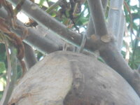 DSCN2576.JPG