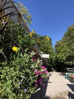 IMG_4616.jpeg