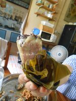 DSCN9745~2.JPG