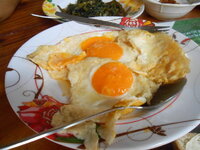 DSCN3040.JPG