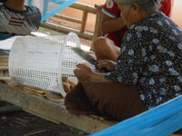DSCN9913.JPG