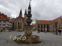 46254244qv.jpg
