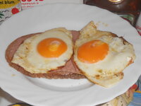 DSCN0142.JPG