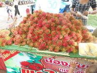 DSCN3148.JPG