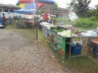 DSCN3153.JPG