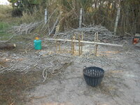 DSCN8960.JPG