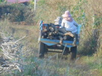 DSCN8963.JPG