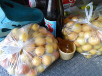 DSCN9476.JPG
