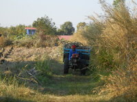 DSCN9490.JPG